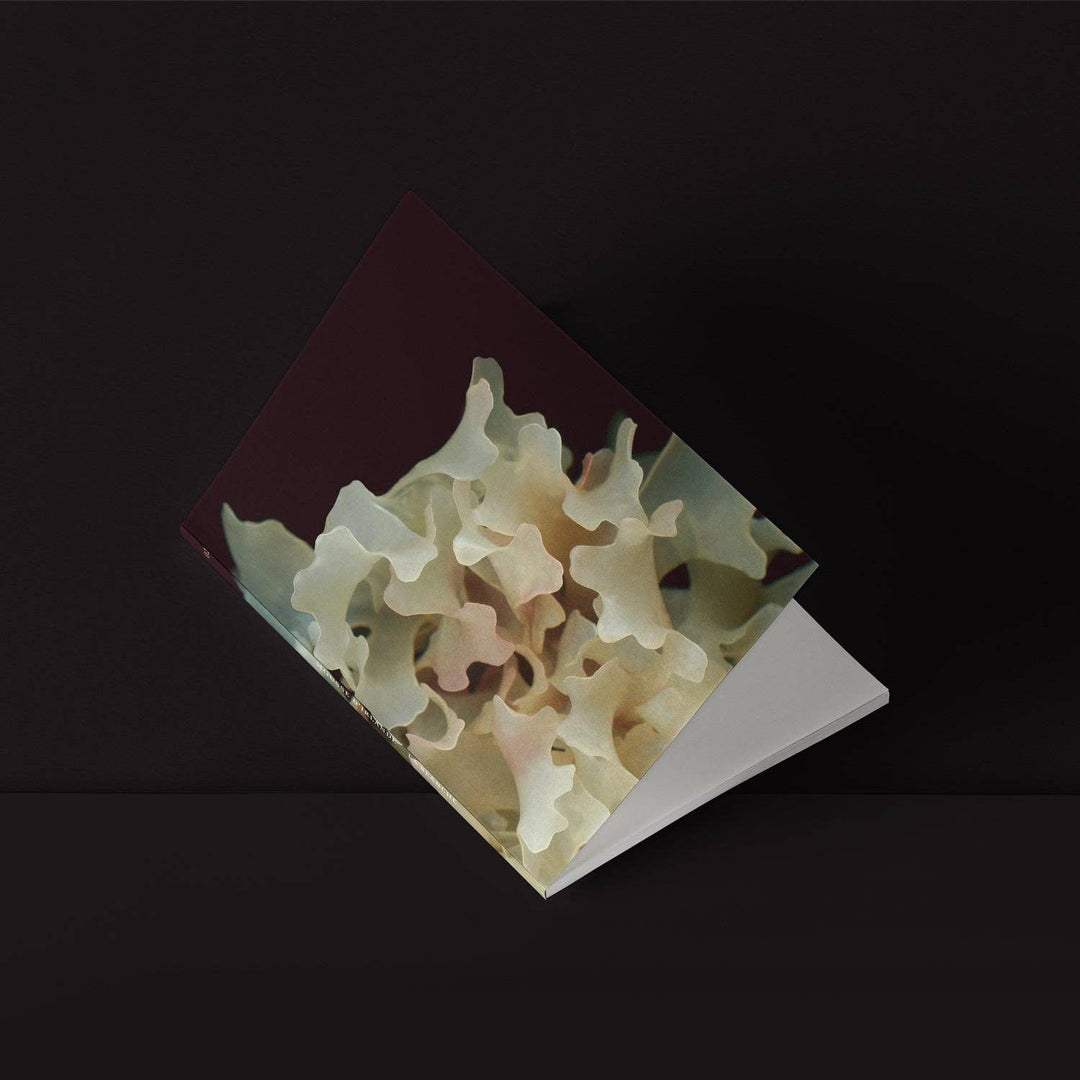 Mini-Notebook / Irish Moss Serie No.2 — La Blanche