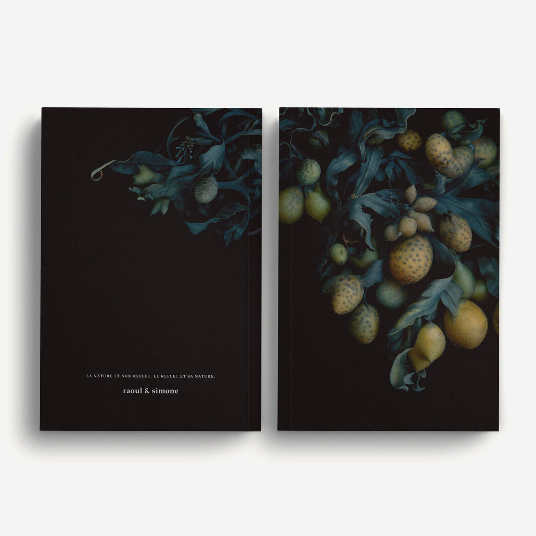 Notebook / Fucus Vesiculosus