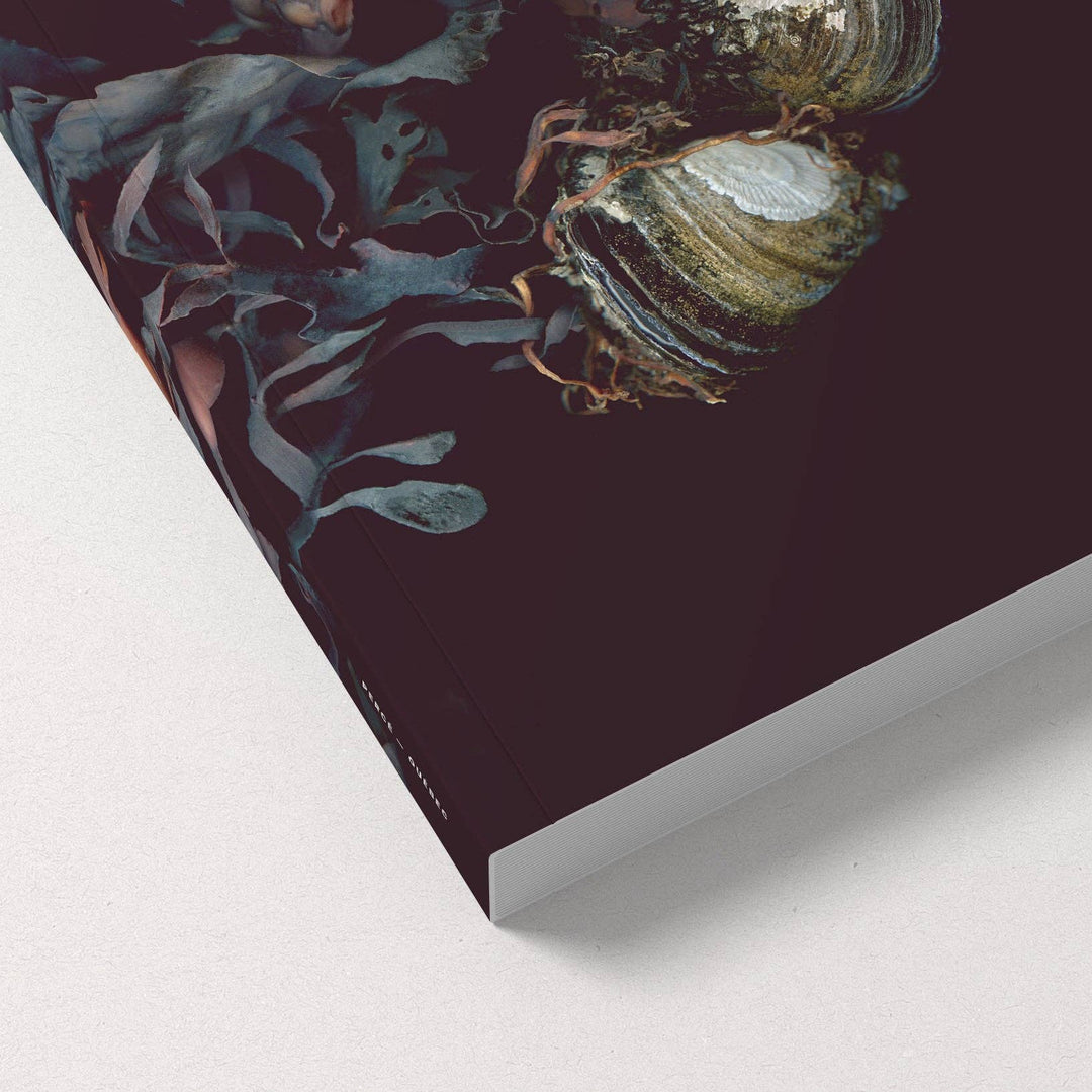 Notebook / Les Jumelles de l&