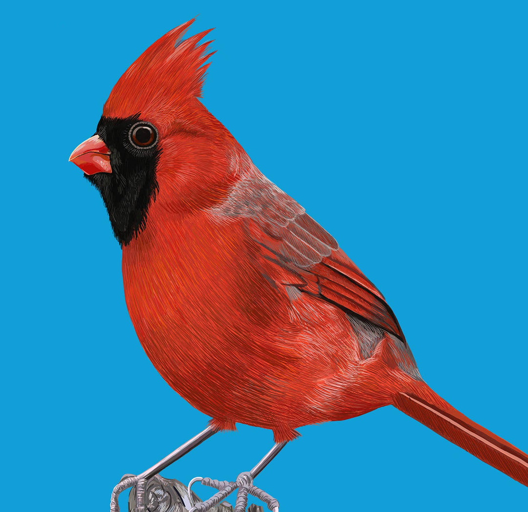 Red Cardinal Bird on Tree Stump Greeting Card