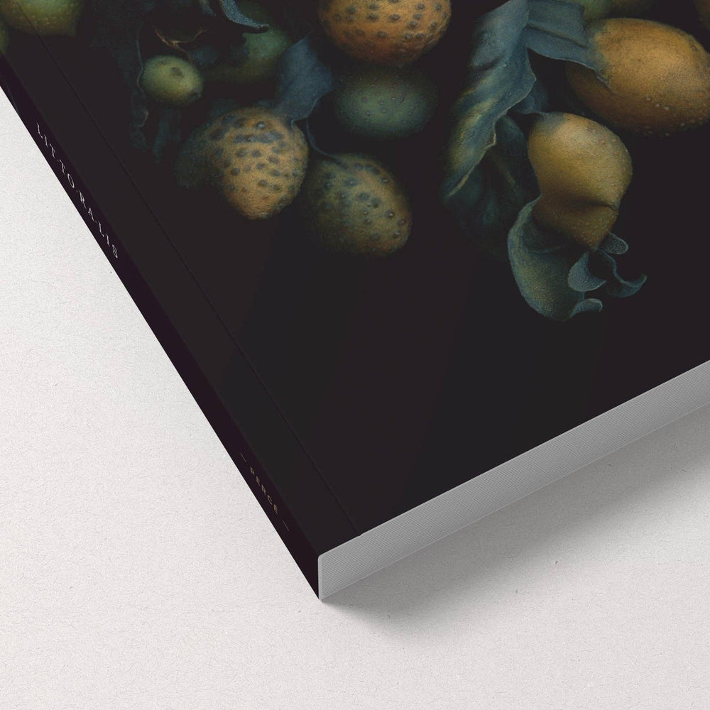 Notebook / Fucus Vesiculosus