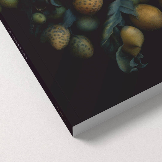 Notebook / Fucus Vesiculosus