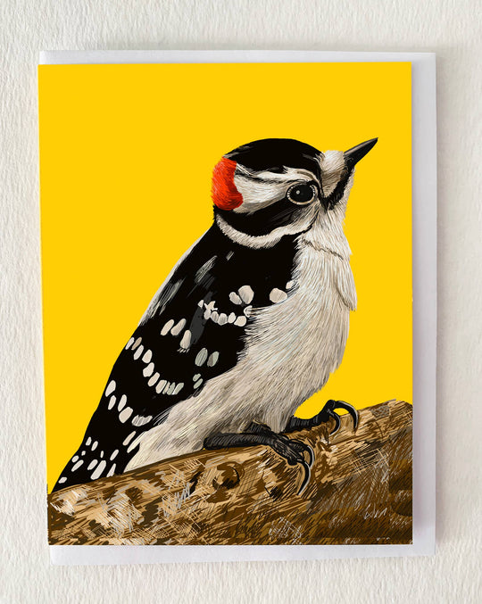 Downey Woodpecker Bird Greeting Card