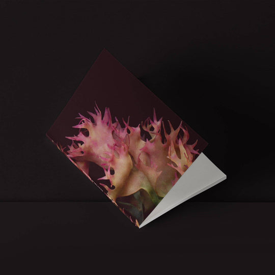 Mini-Notebook / Irish Moss Serie No.1 — La Rose