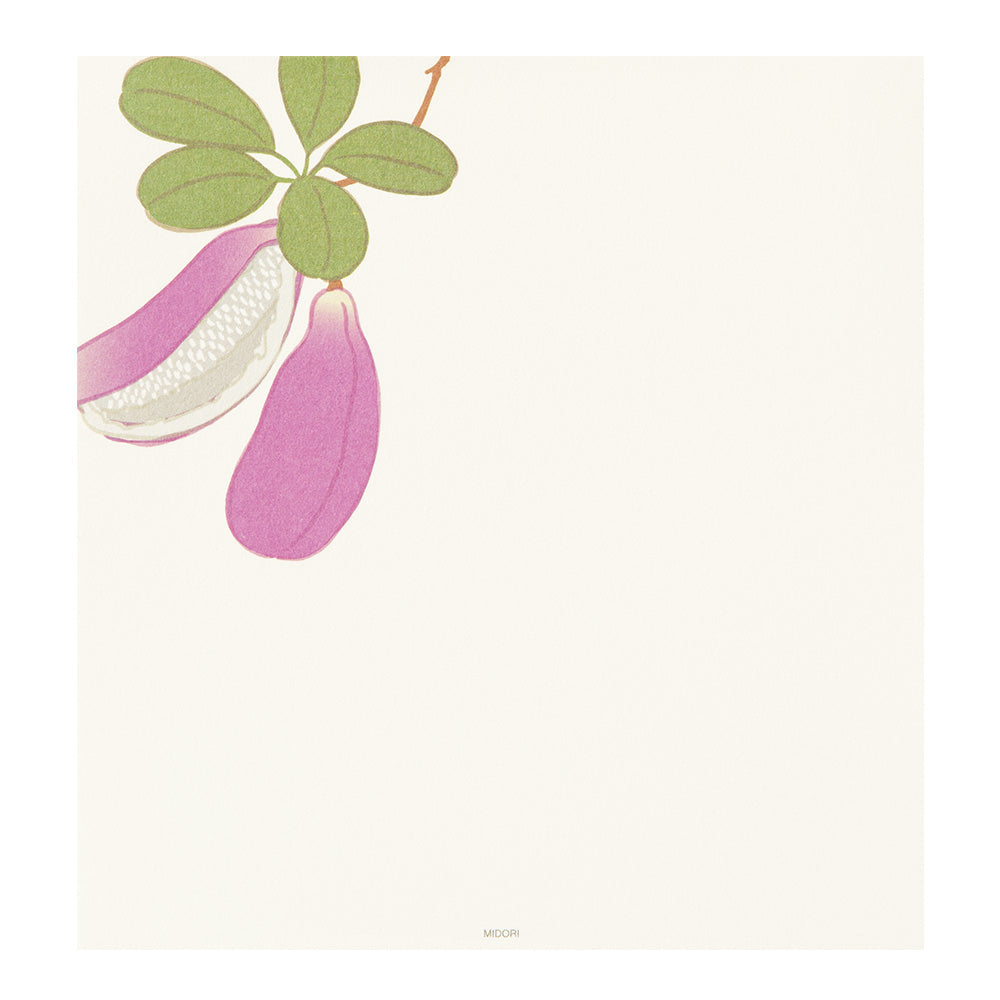 Midori Letter Pad 109 Four Designs Autumn Berries S2
