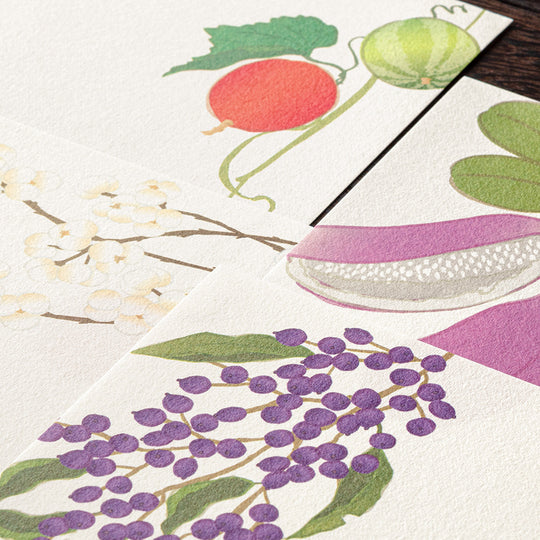 Midori Letter Pad 109 Four Designs Autumn Berries S2