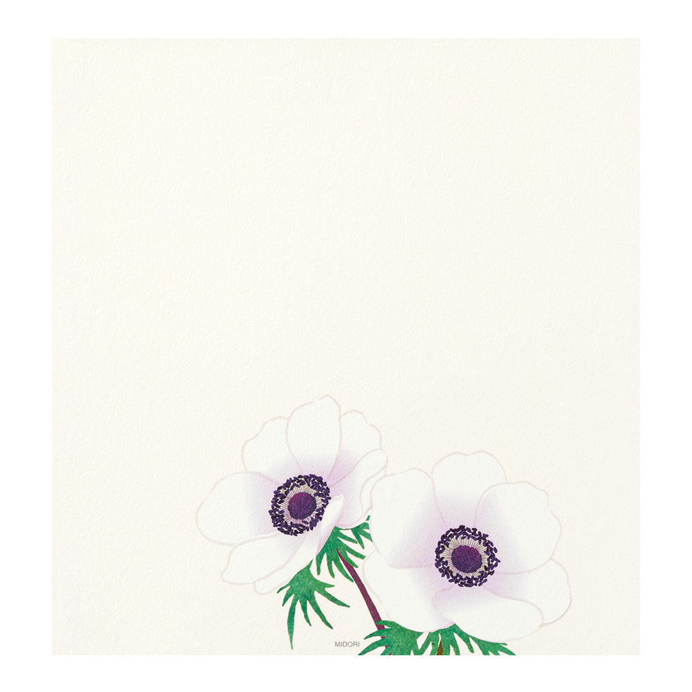 Midori Letter Pad 157 Four Designs Spring Flower White