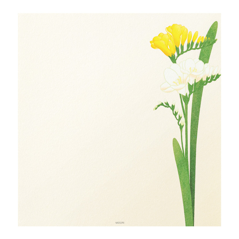 Midori Letter Pad 157 Four Designs Spring Flower White