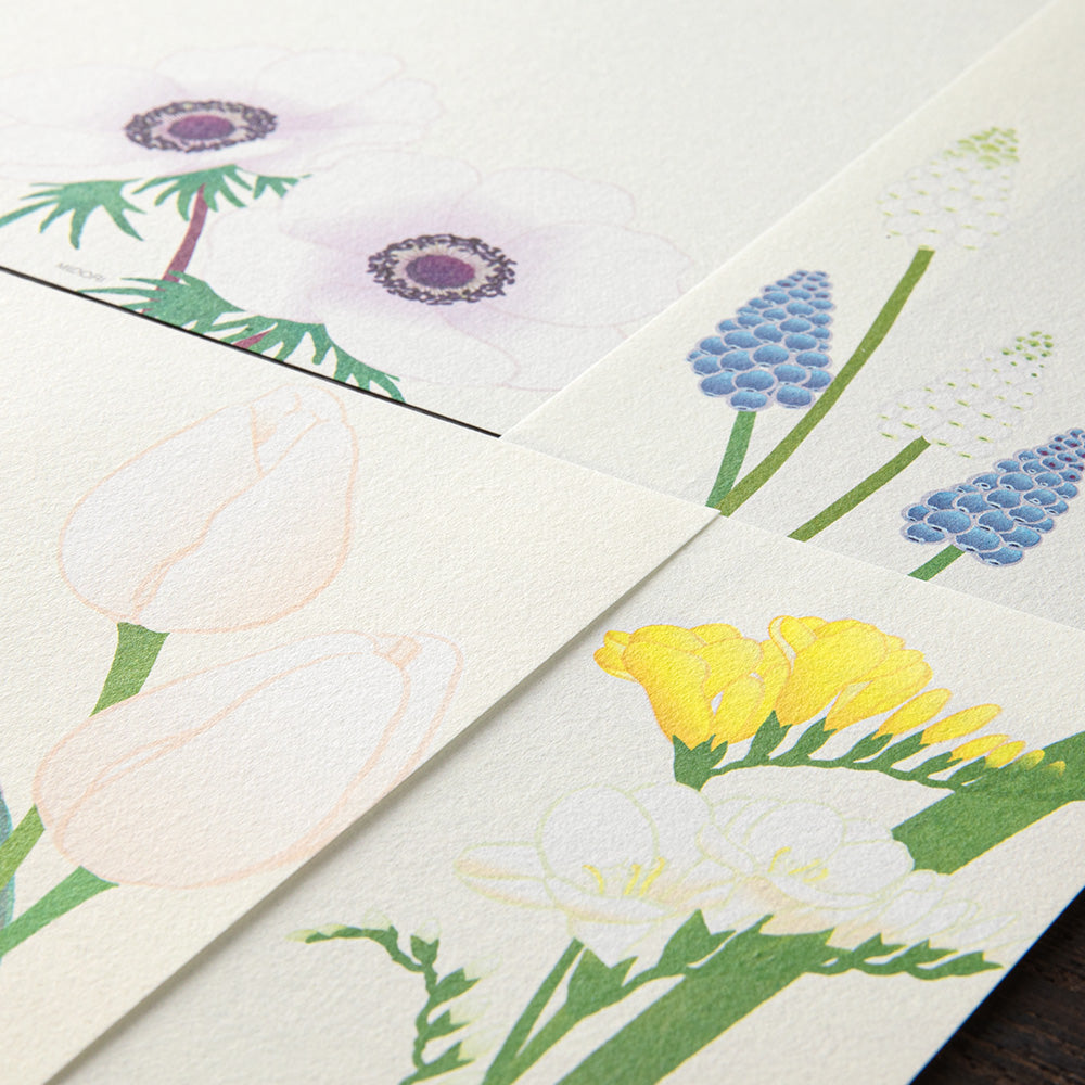 Midori Letter Pad 157 Four Designs Spring Flower White