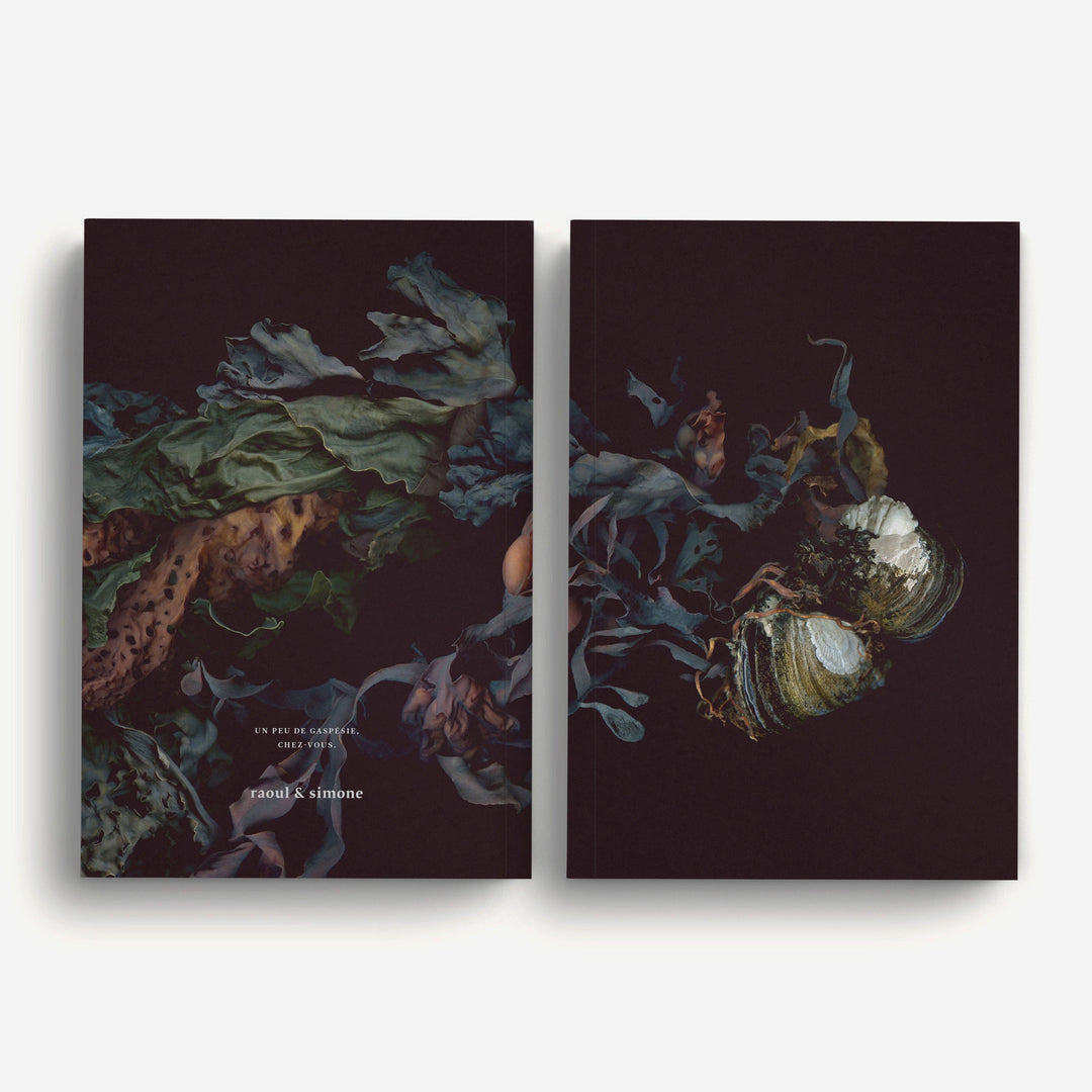 Notebook / Les Jumelles de l&