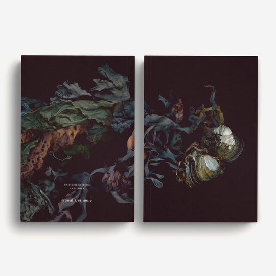Notebook / Les Jumelles de l&