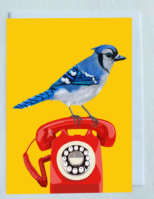 Blue Jay Bird Vintage Telephone Greeting Card