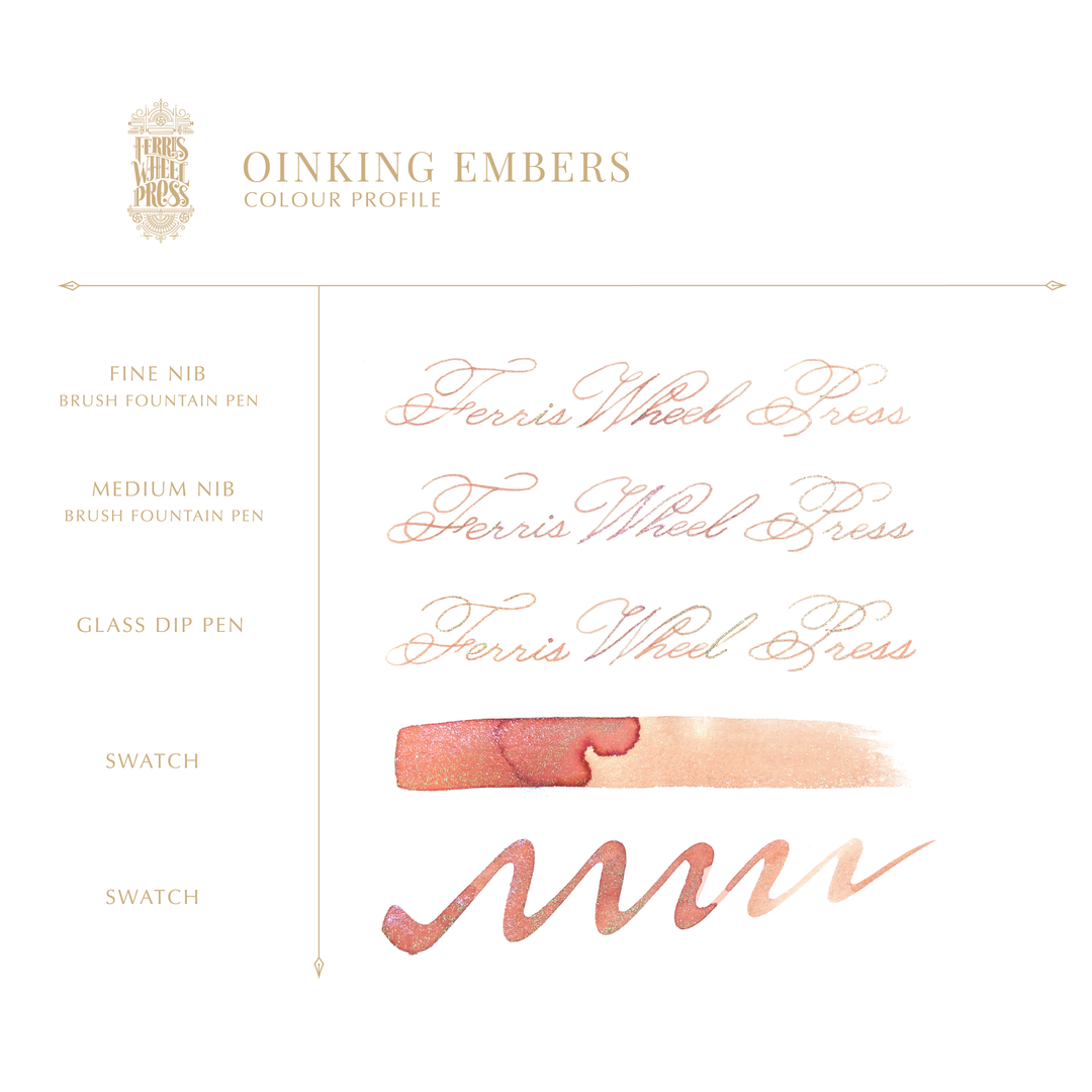 Ferris Wheel Fountain Pen Ink- Oinking Embers