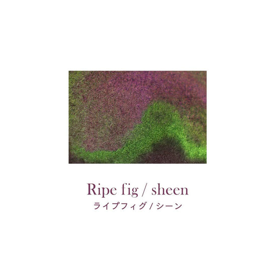 Sailor Hocoro Dip Pens X Dipton Set- Ripe Fig