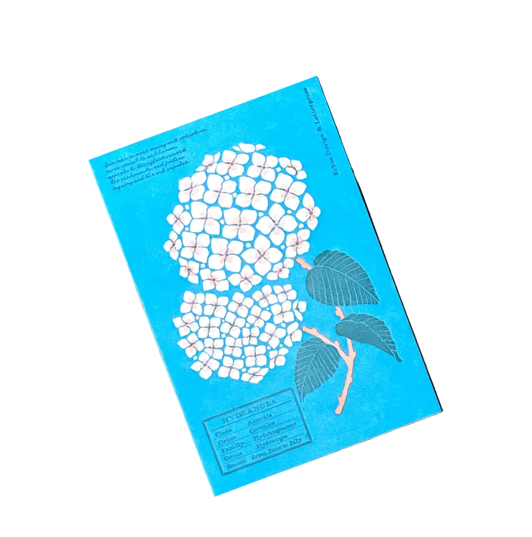 Echos Design &amp; Letterpress Postcard Flower White Summer - Hydrangea