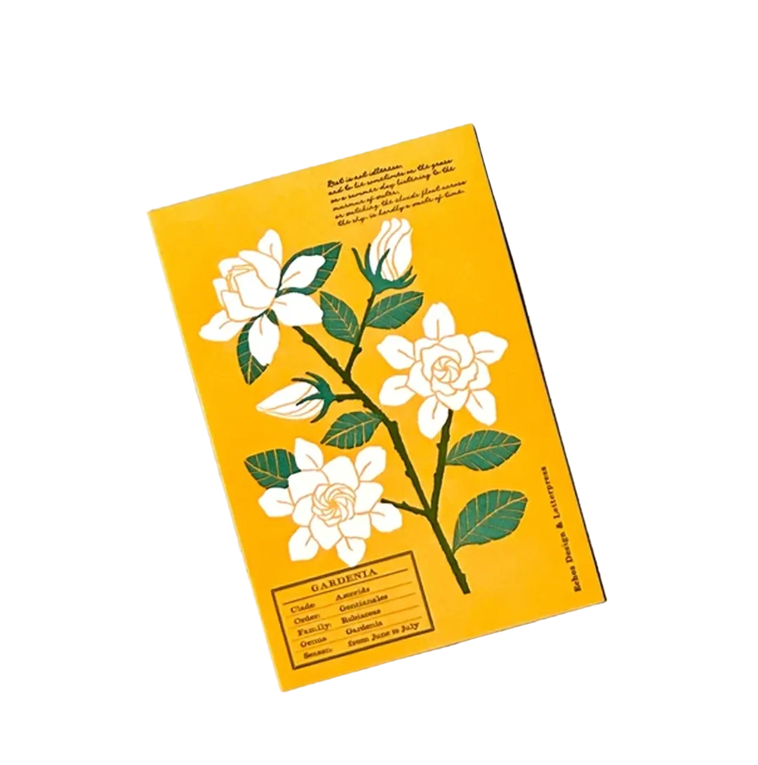 Echos Design &amp; Letterpress Postcard Flower White Summer - Gardenia