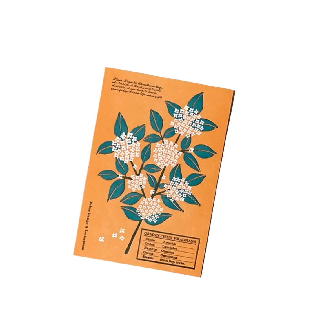 Echos Design &amp; Letterpress Postcard Flower White - Osmanthus Fragrans