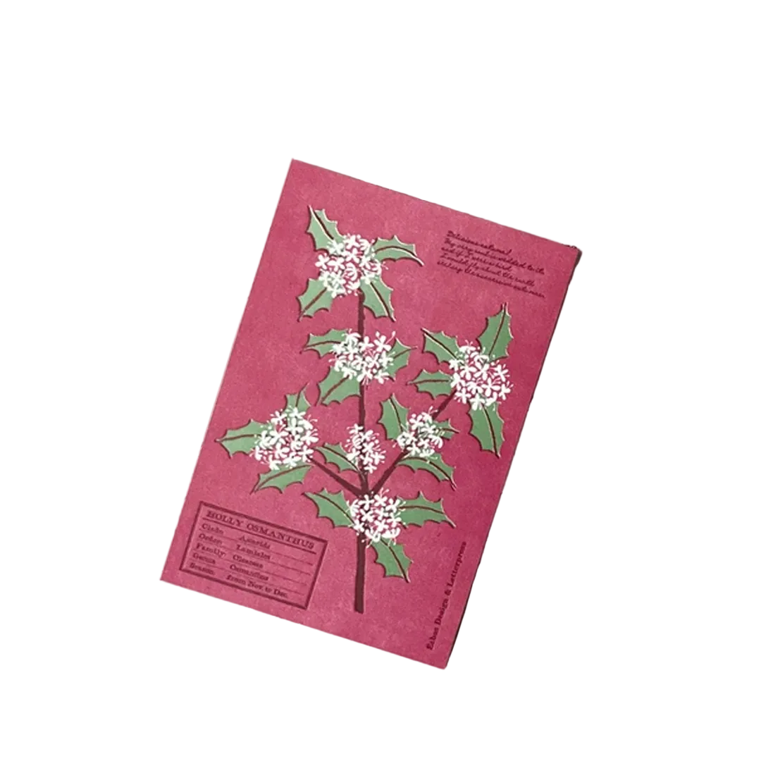 Echos Design &amp; Letterpress Postcard Flower White - Holly Osmanthus