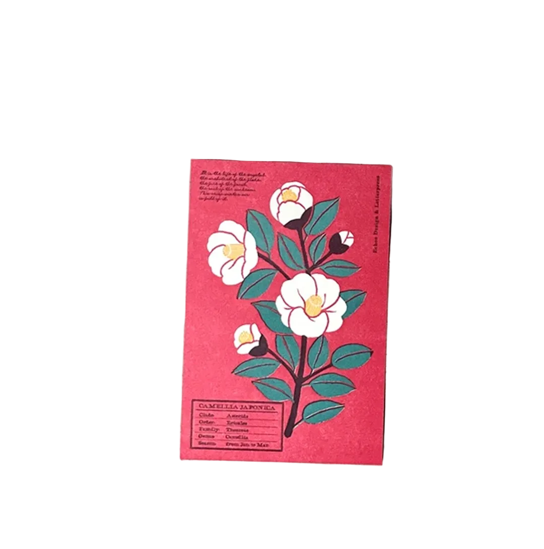 Echos Design &amp; Letterpress Postcard Flower White Winter - Camellia Japonica