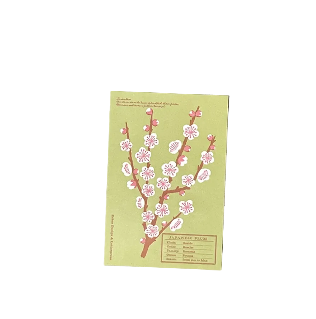 Echos Design &amp; Letterpress Postcard Flower White Winter - Japanese Plum