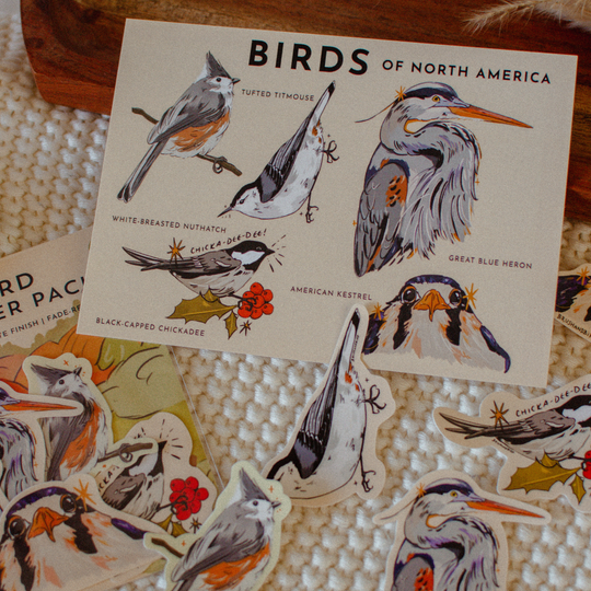 Bird Lover Postcard | Illustrated North American Birds