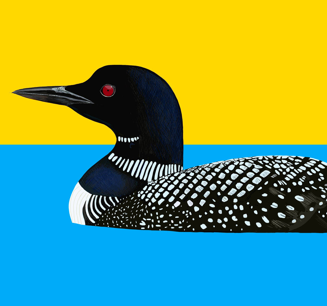 Loon Bird Greeting Card