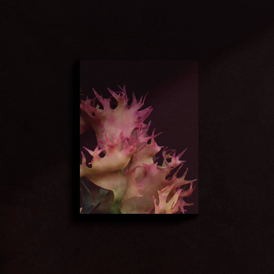 Mini-Notebook / Irish Moss Serie No.1 — La Rose