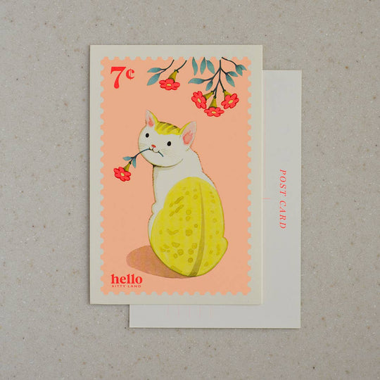 Yellow Kitty Postcard