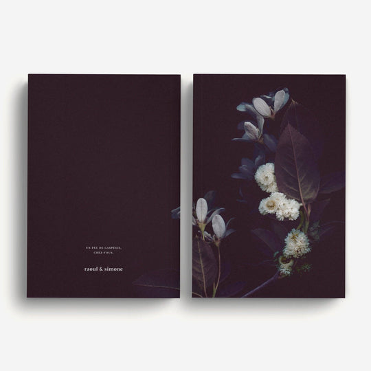 Notebook / Nocturne