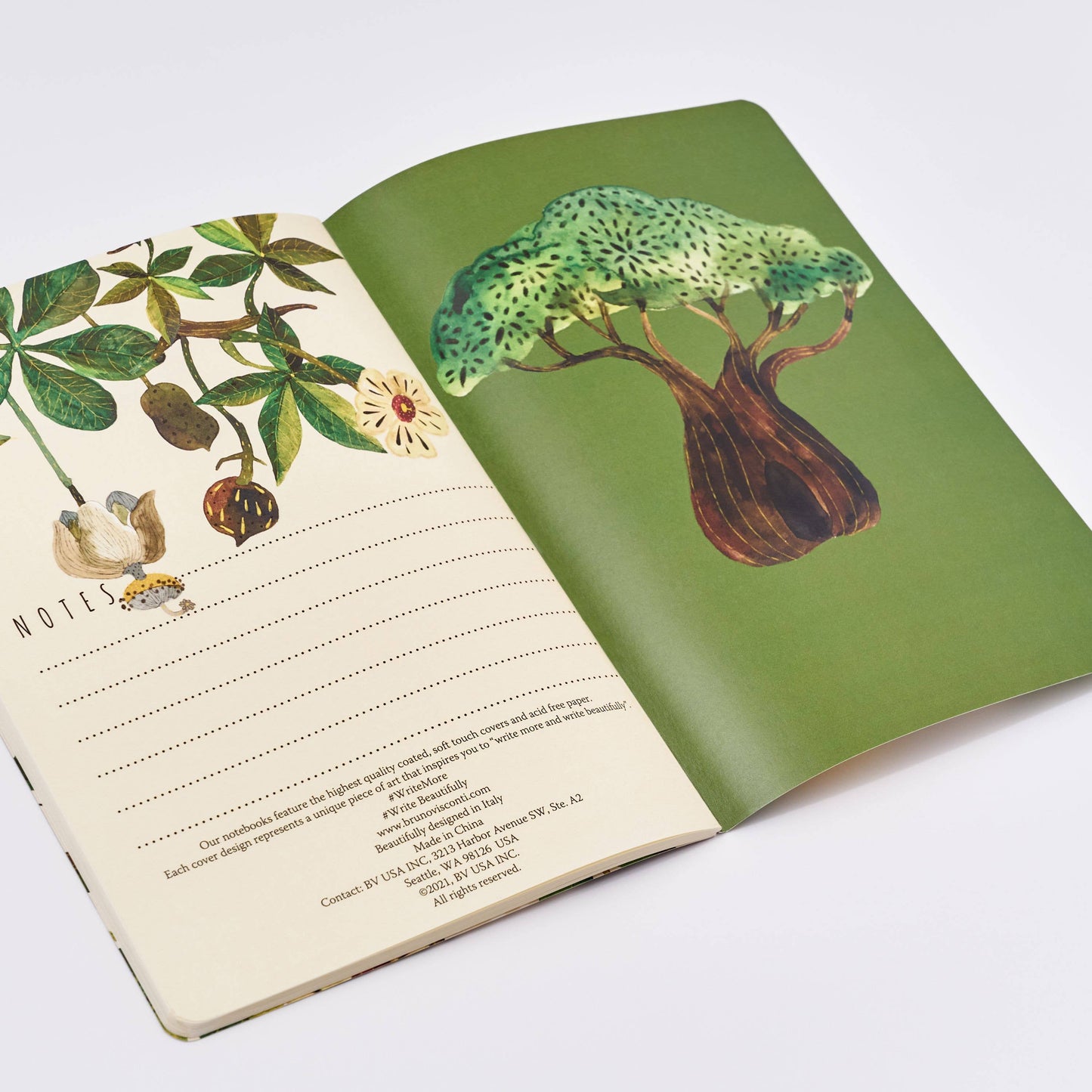 Bruno Visconti - Baobab Tree Notebook