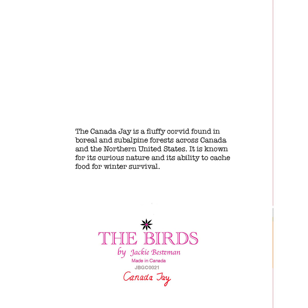 Canada Jay Bird Greeting Card