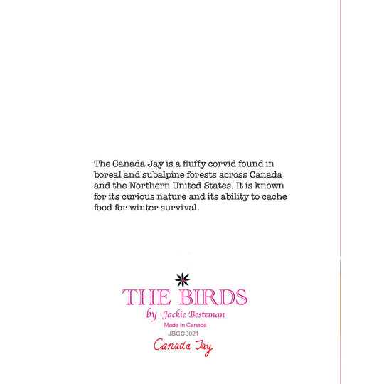 Canada Jay Bird Greeting Card