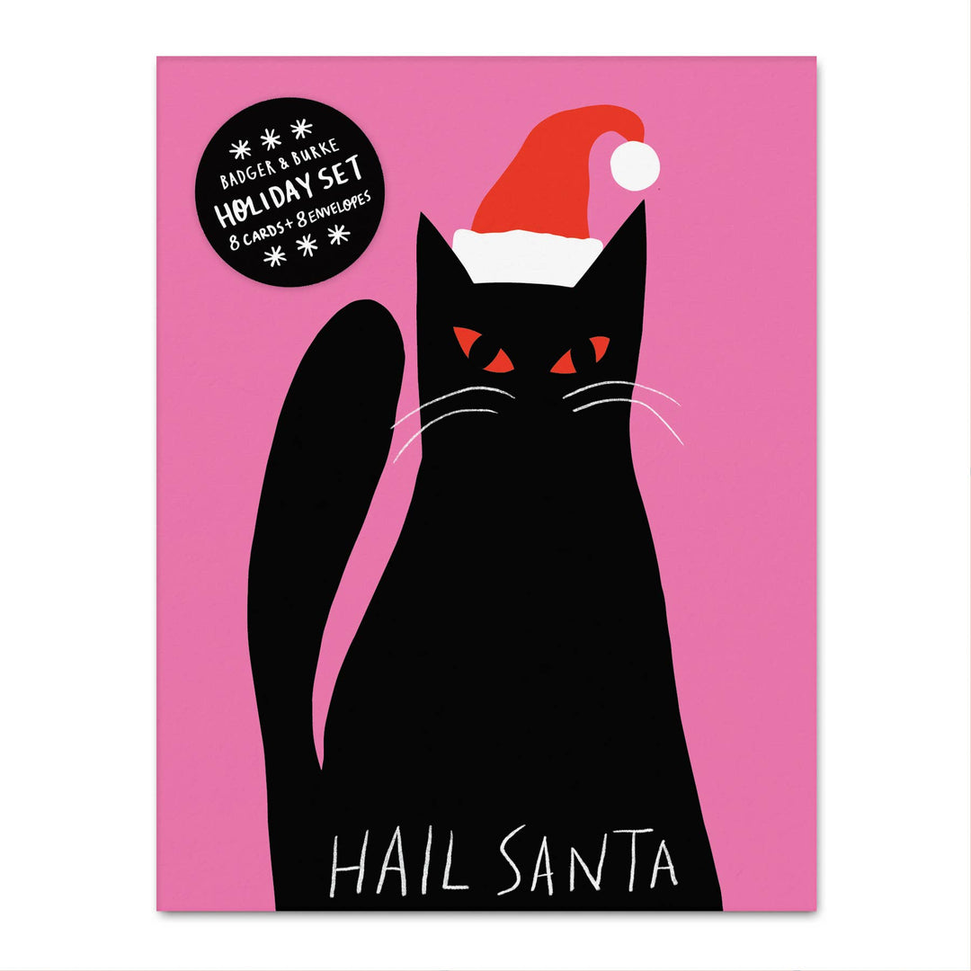 Hail Santa - Christmas Greeting Card Set