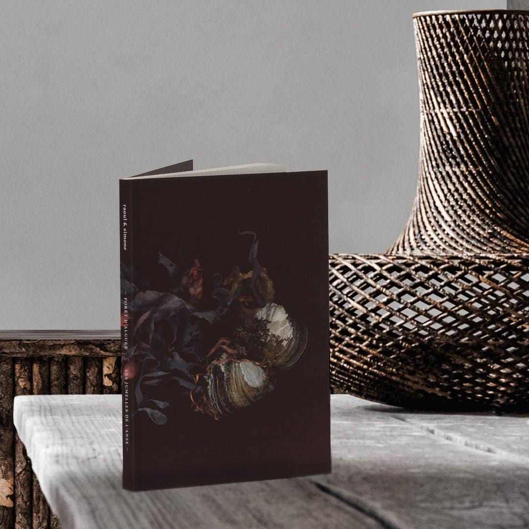 Notebook / Les Jumelles de l&
