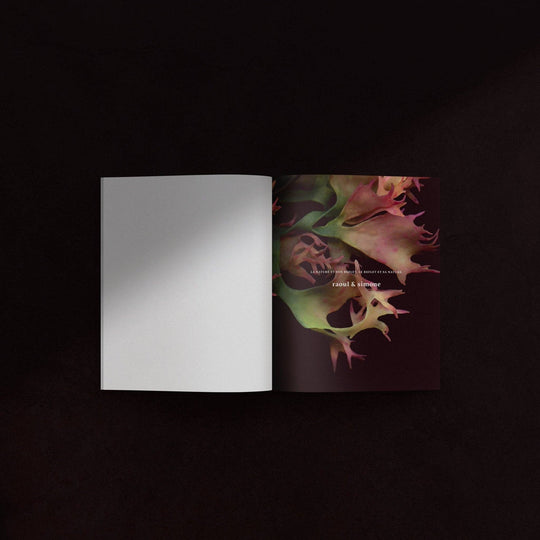 Mini-Notebook / Irish Moss Serie No.1 — La Rose