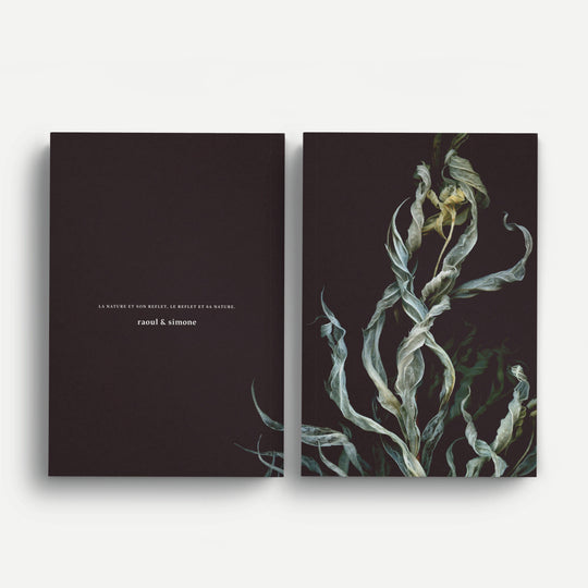 Notebook / Fantôme