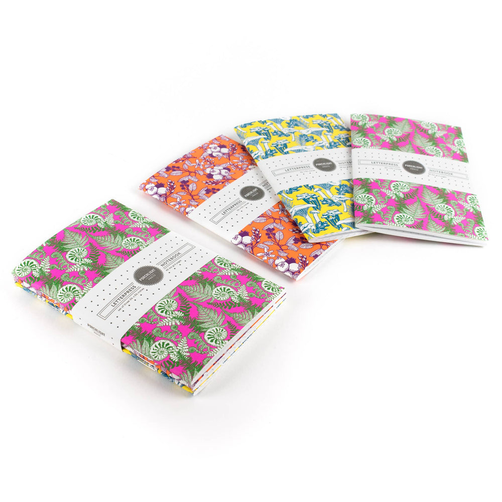 Forest Foraging Series: Set of 3 Assorted Pocket Notebooks: Plain Pages