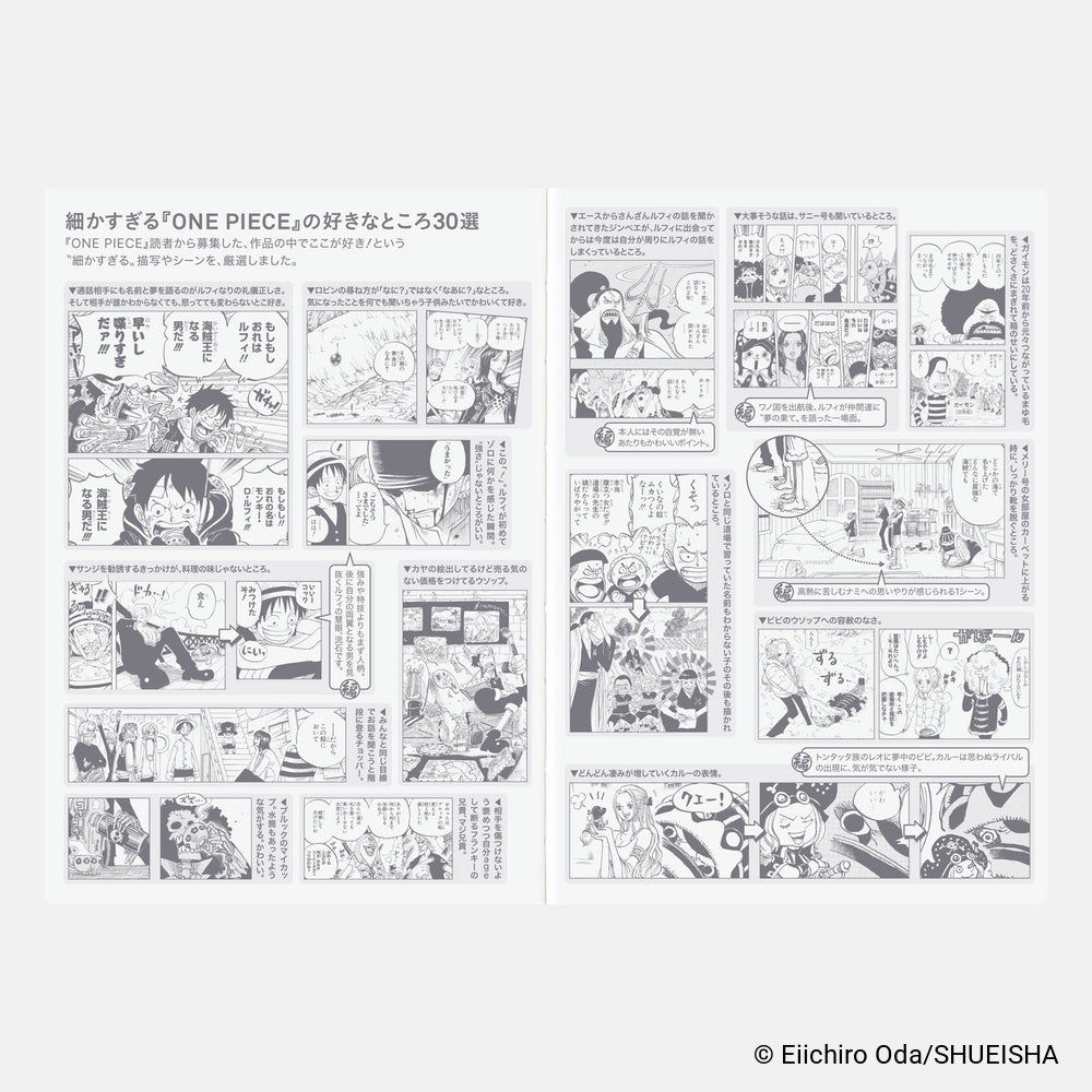 Hobonichi Techo 2027 Japanese Original Book One Piece Edition A6 Pre-order Shipping Mid October