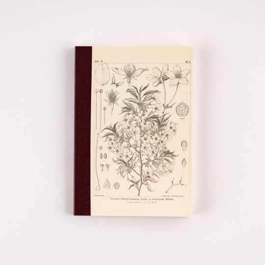 Hobonichi Tomitaro Makino Graph Notebook Yamazakura