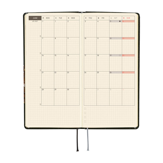 Hobonichi  |  tanakadaisuke: Starlight