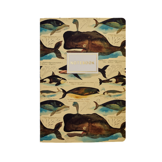 Bruno Visconti-Whales Notebook