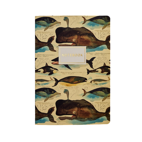 Bruno Visconti-Whales Notebook